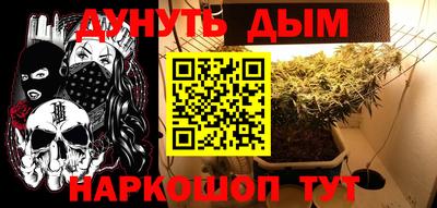 гидра Бийск