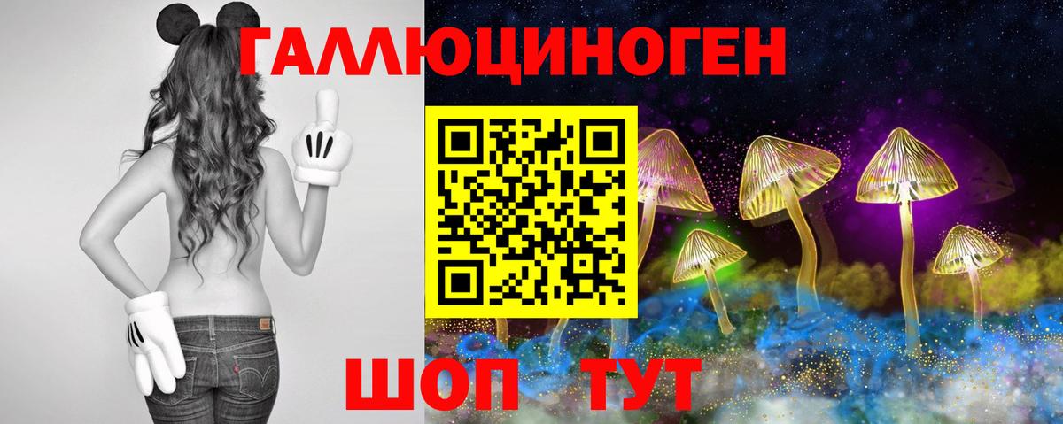 Волжск  Галлюциногенные грибы мухоморы  Вход с VPN  Галлюциногенные грибы Psilocybine cubensis 